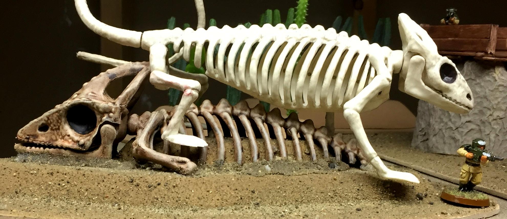 Animal, Halloween, Monster, Skeletons, Toy Skelly Jr A Gallery